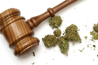law and nugs