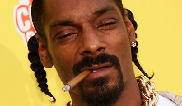 snoop-dogg-fight-1-e1290549510717