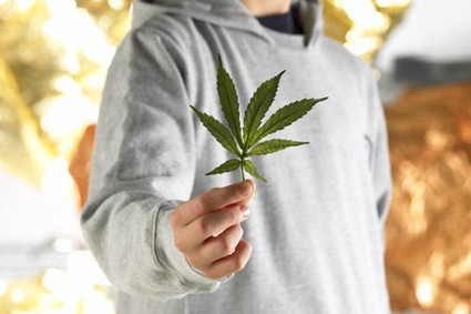 FE_PR_080522marijuana425x283